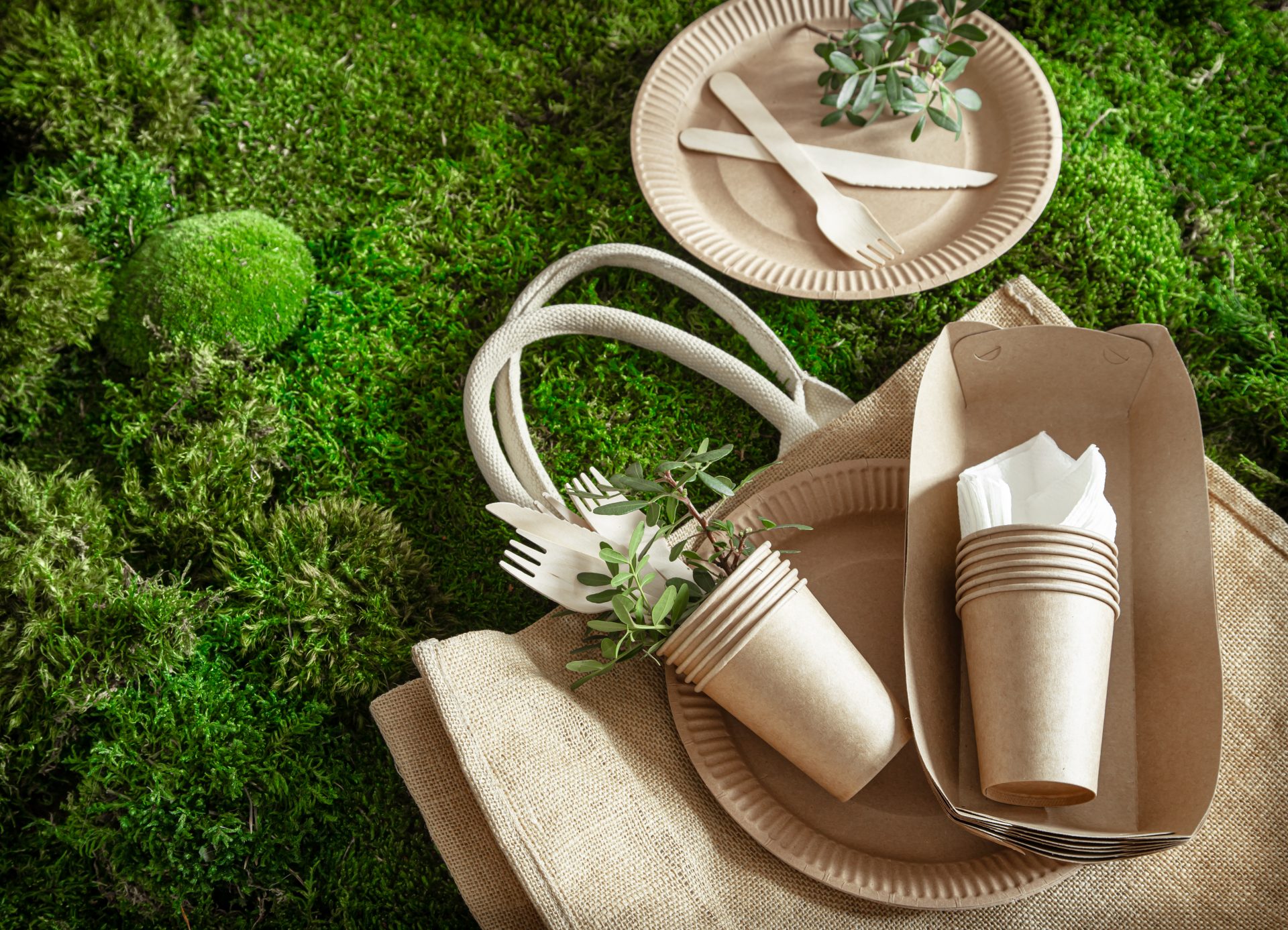 Utilize disposable plates and cutlery